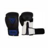 01 Boxing Gloves Manufacturer for Training & Sparring | Ravine International