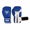 08 Boxing Gloves Manufacturer for Training & Sparring | Ravine International