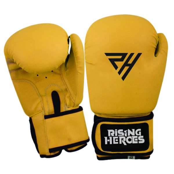 Boxing Gloves Manufacturer for Training & Sparring | Ravine International