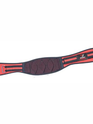 Dipping Belts