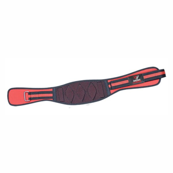 12 Dipping Belt Manufacturer for Strength Training | Ravine International