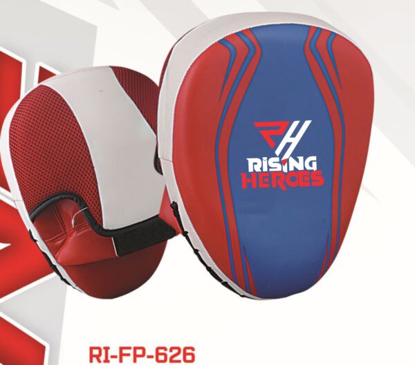 12 Focus Mitts / Pads