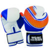 Boxing Gloves Manufacturer for Training & Sparring | Ravine International
