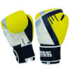 16 Boxing Gloves