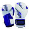 Boxing Gloves Manufacturer for Training & Sparring | Ravine International