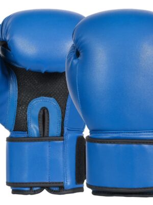 1_3 Boxing Gloves