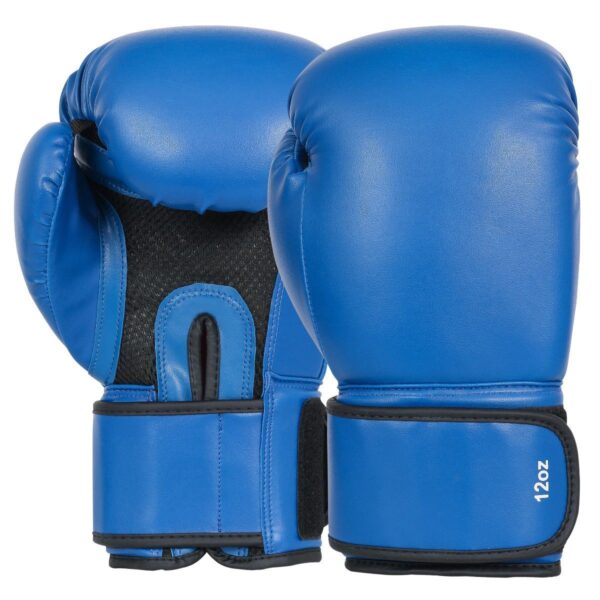 1_3 Boxing Gloves Manufacturer for Training & Sparring | Ravine International
