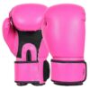 1_4 Boxing Gloves