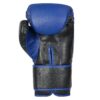 2_2 Boxing Gloves Manufacturer for Training & Sparring | Ravine International