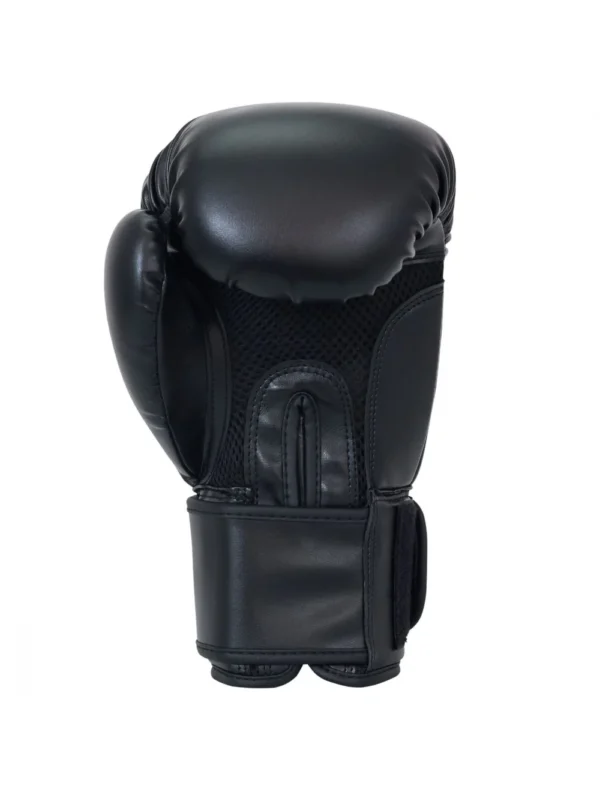 2_2_1 Boxing Gloves Manufacturer for Training & Sparring | Ravine International