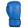 2_3 Boxing Gloves Manufacturer for Training & Sparring | Ravine International