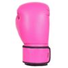2_4 Boxing Gloves