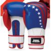 41 Boxing Gloves Manufacturer for Training & Sparring | Ravine International