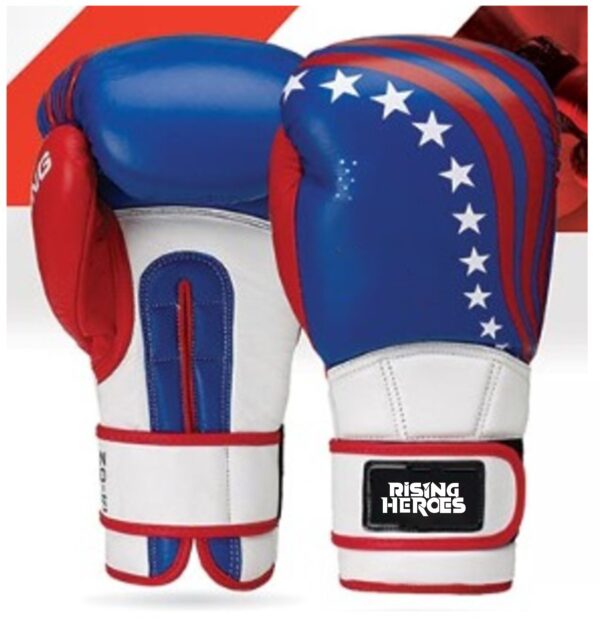 41 Boxing Gloves Manufacturer for Training & Sparring | Ravine International