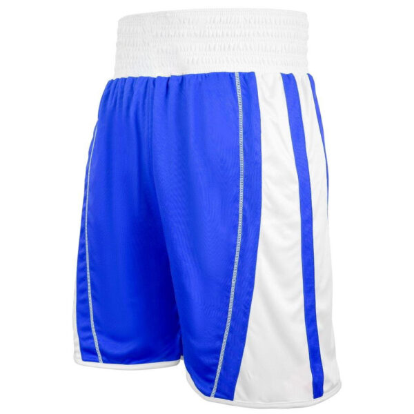 BS-6 (1) Reversible Boxing Shorts Manufacturer | Ravine International