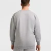 CPM253FC30X_RG73-BACK Sweatshirts
