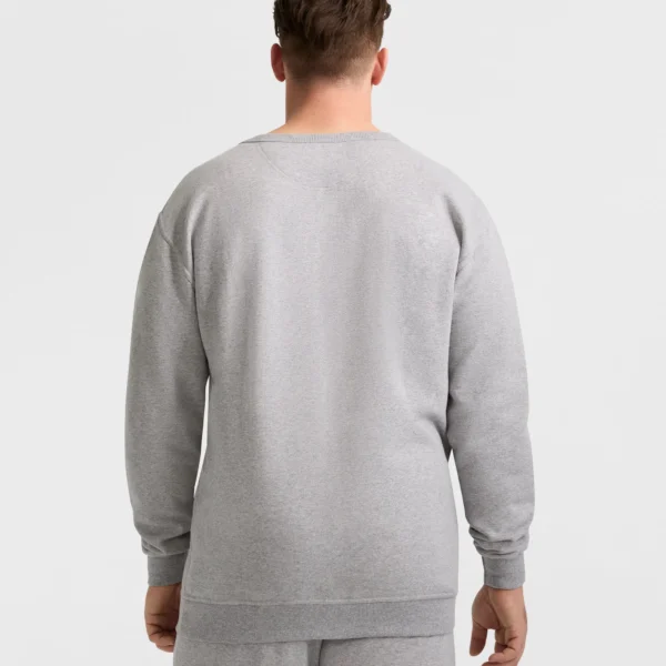 CPM253FC30X_RG73-BACK Sweatshirts