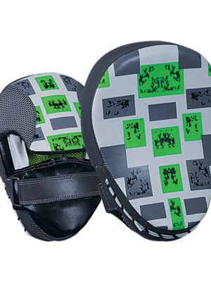 focus-pad-4- Focus Mitts / Pads