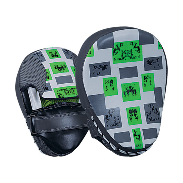 focus-pad-4- Focus Mitts / Pads