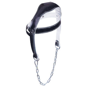 Head Harness