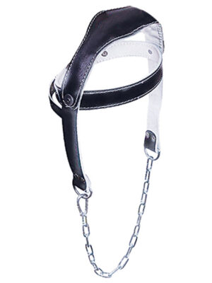 Head Harness