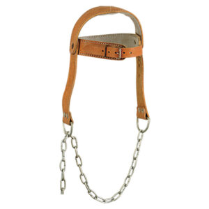 Head Harness