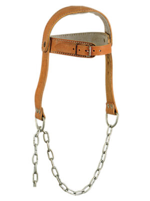 Head Harness