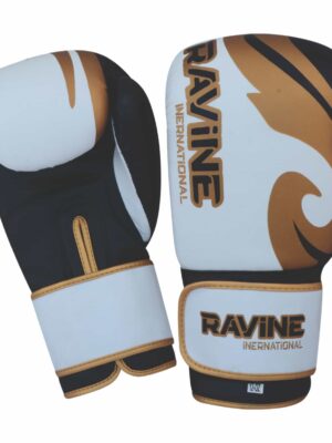 01 Boxing Gloves Manufacturer for Training & Sparring | Ravine International