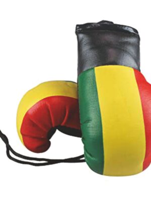 Mini Boxing Glove Key Ring Manufacturer | Ravine International
