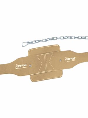 Training Belt Manufacturer for Gym & Fitness | Ravine International