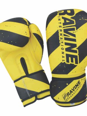 Boxing Gloves Manufacturer for Training & Sparring | Ravine International