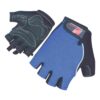 19 Fitness & Workout Gloves Manufacturer | Ravine International